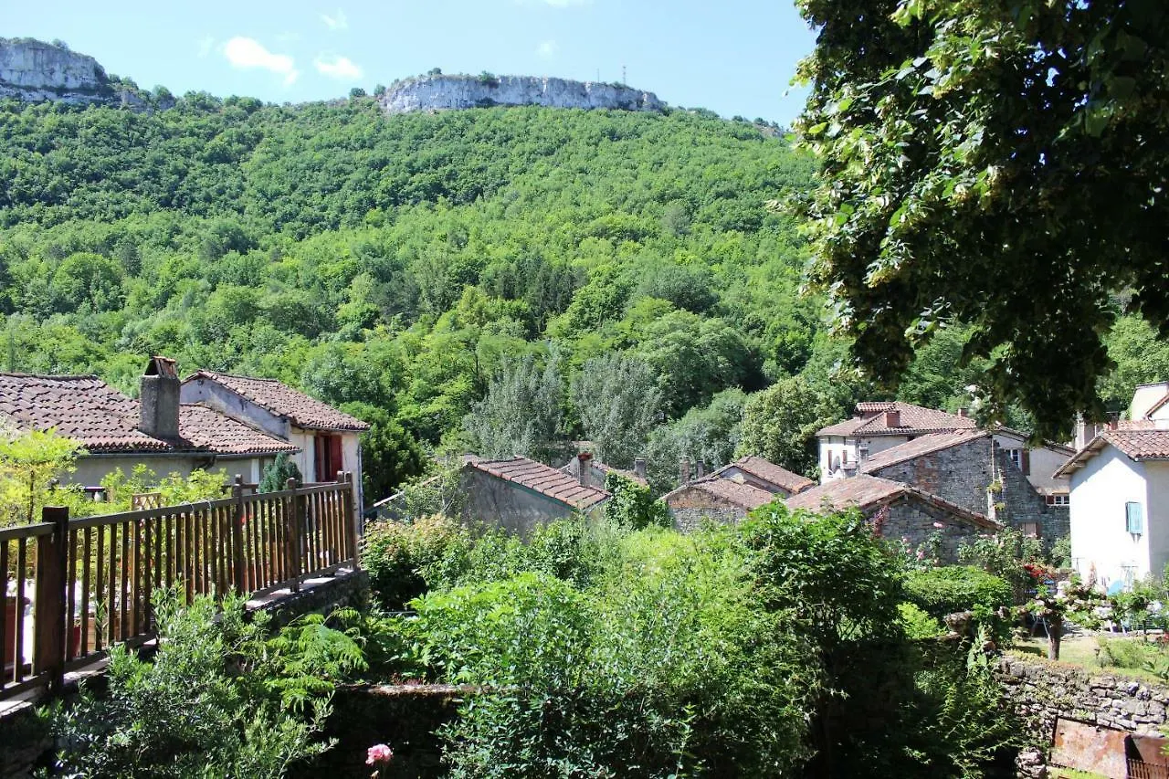 Auberge Lion D'Or Saint-Antonin-Noble-Val Bed & Breakfast